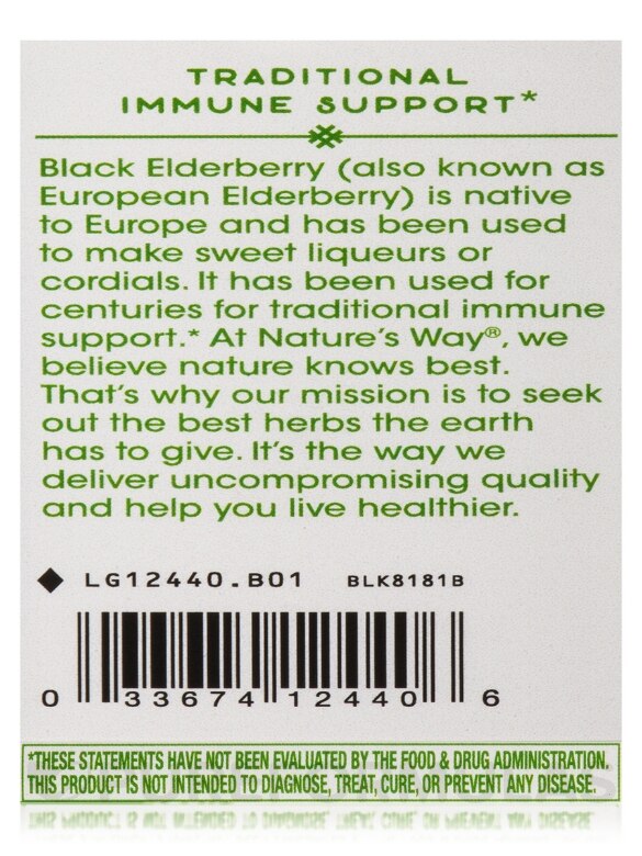 Black Elderberry - 100 Vegan Capsules - Alternate View 6