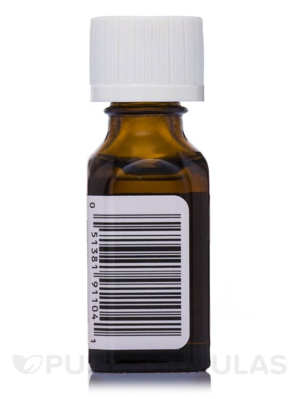 Sweet Basil Essential Oil (ocimum basilcum) - 0.5 fl. oz (15 ml) - Alternate View 2