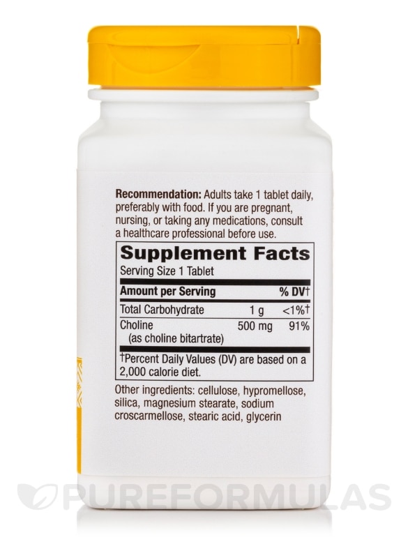 Choline (Bitartrate) 500 mg - 100 Tablets - Alternate View 1