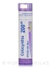 Colocynthis 200ck - 1 Tube (approx. 80 pellets)