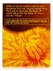 NOW® Real Tea - Organic Dandelion Cleansing Herbal Tea - 24 Tea Bags - Alternate View 3