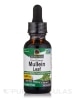 Mullein Leaf Extract (Alcohol-Free) - 1 fl. oz (30 ml)