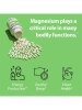 MagSRT® B-Free (Magnesium with SRT) - 240 Tablets - Alternate View 2