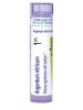 Argentum Nitricum 1m - 1 Tube (approx. 80 pellets)