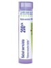 Sabal serrulata 200ck - 1 Tube (approx. 80 pellets)
