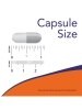 L-Ornithine 500 mg - 120 Veg Capsules - Alternate View 3