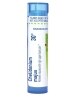 Chelidonium Majus 30c - 1 Tube (approx. 80 pellets)