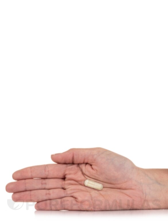 OsteoPure - 240 Capsules - Alternate View 6