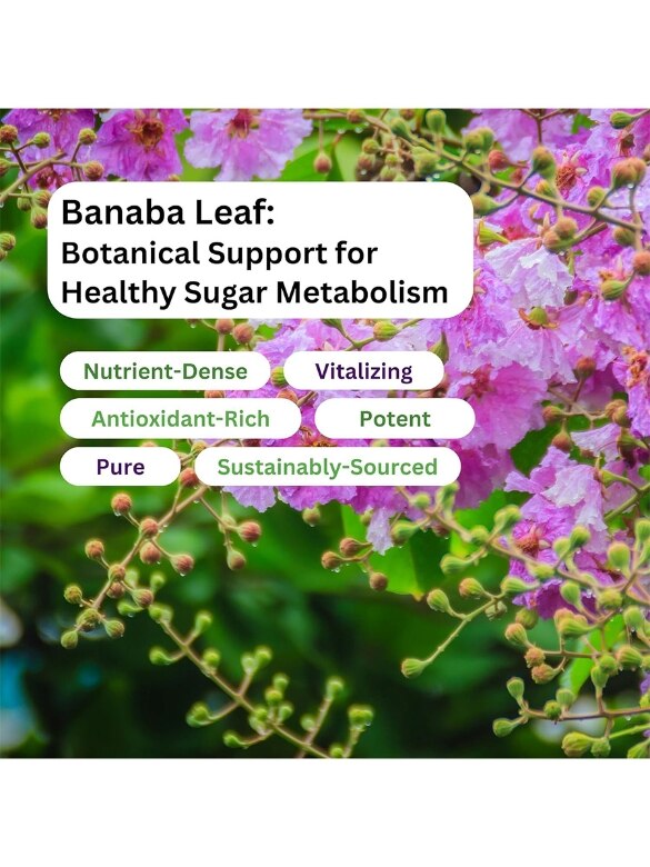 Banaba Leaf Extract - 60 Vegetarian Capsules - Alternate View 5
