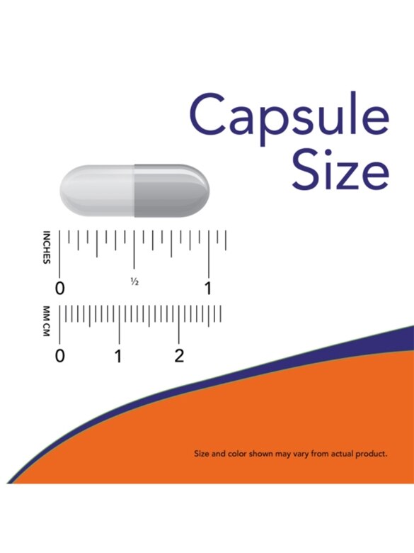 L-Ornithine 500 mg - 120 Veg Capsules - Alternate View 3