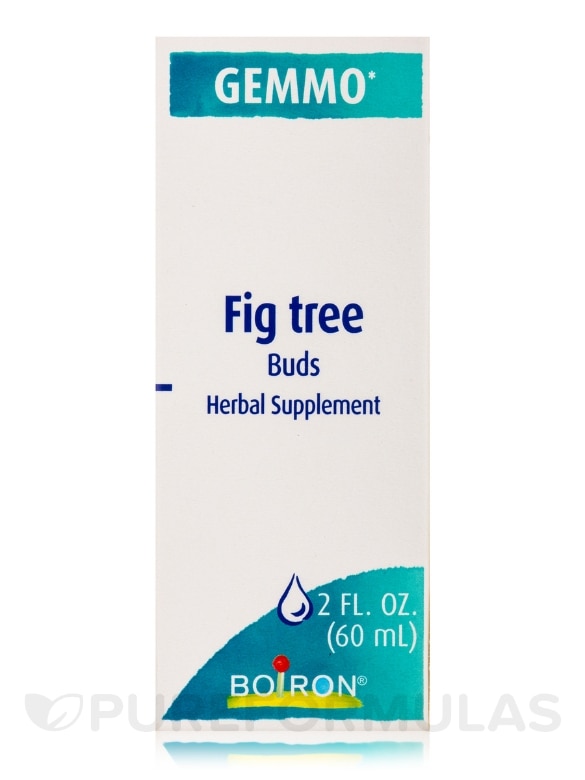 Fig Tree/Ficus Carica - 2 fl. oz (60 ml) - Alternate View 4