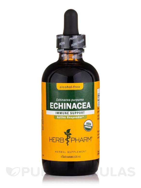 Echinacea Alcohol-Free - 4 fl. oz (120 ml)