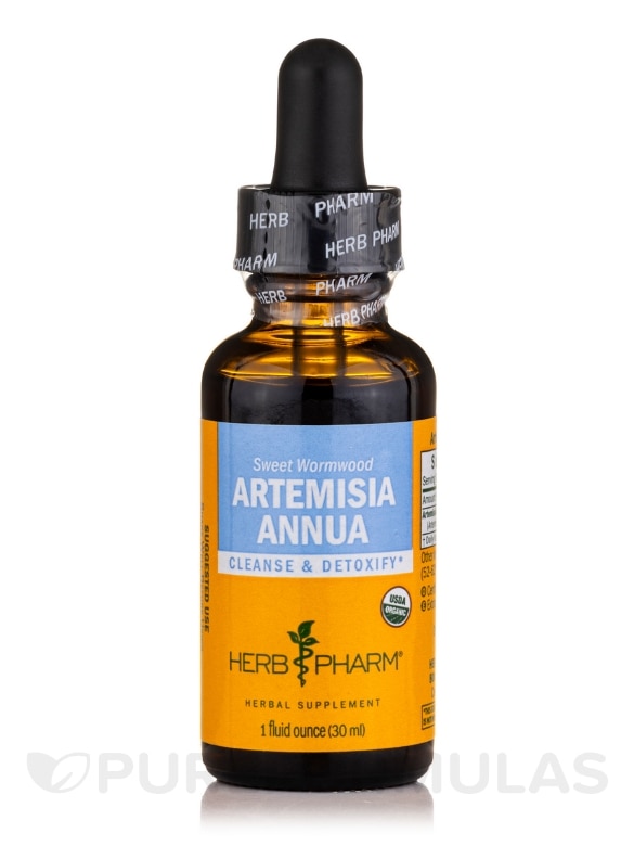 Artemisia Annua - 1 fl. oz (30 ml)