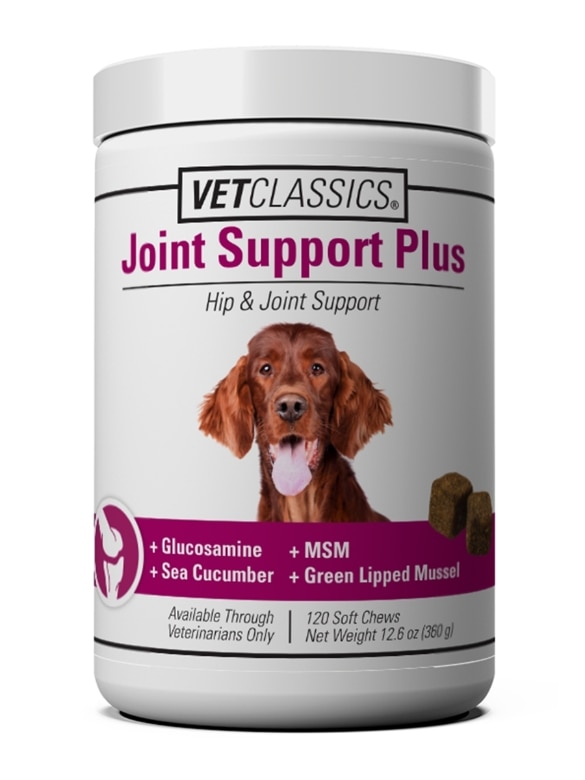Joint Support Plus - Canine - 120 Soft Chews
