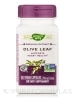 Olive Leaf (12% Oleuropein) - 60 Vegan Capsules