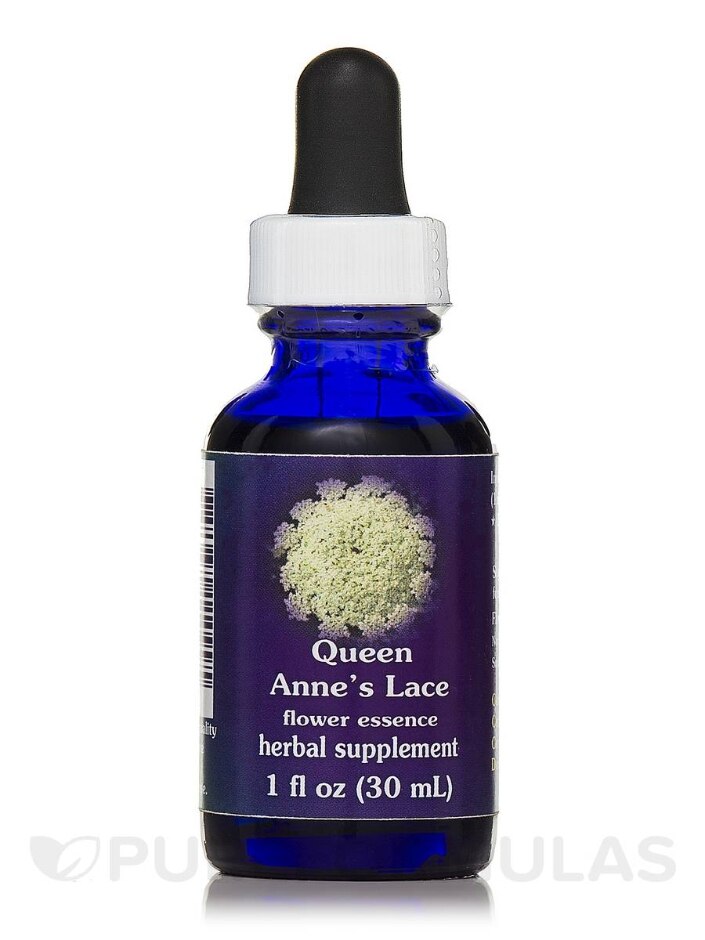 Queen Annes Lace Dropper - 1 fl. oz (30 ml)