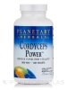 Cordyceps Power CS-4 800 mg - 120 Tablets