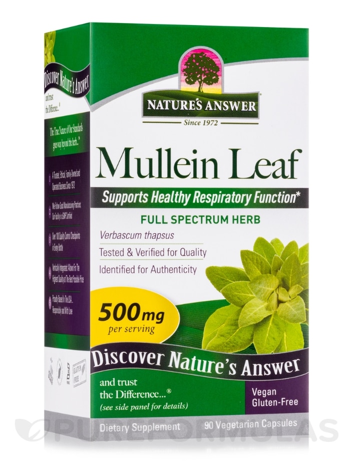 Mullein Leaf (Verbascum thapsus) - 90 Vegetarian Capsules